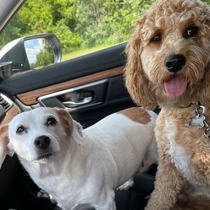 Meet your Posher, Martha